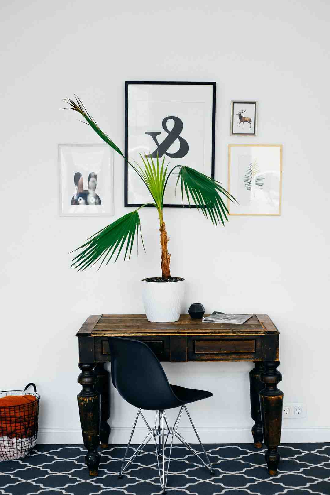 Comment mettre une photo sur The Frame ?