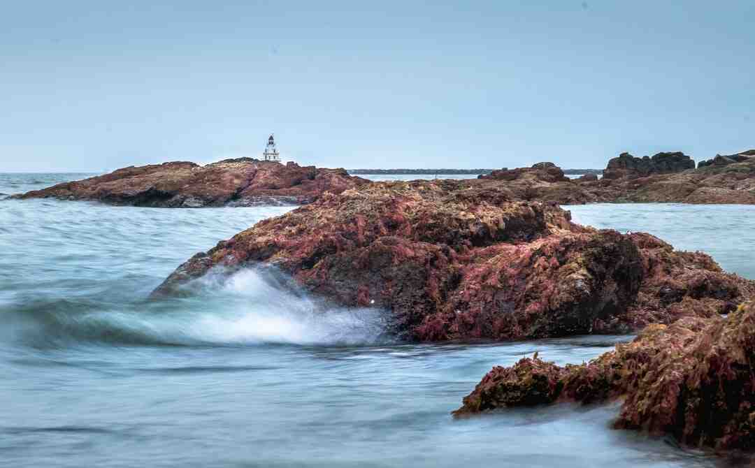 Comment savoir si un telephone à une bonne qualité photo ?