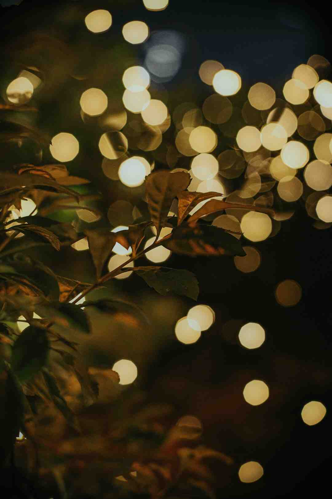 Comment faire un flou sur Lightroom ?