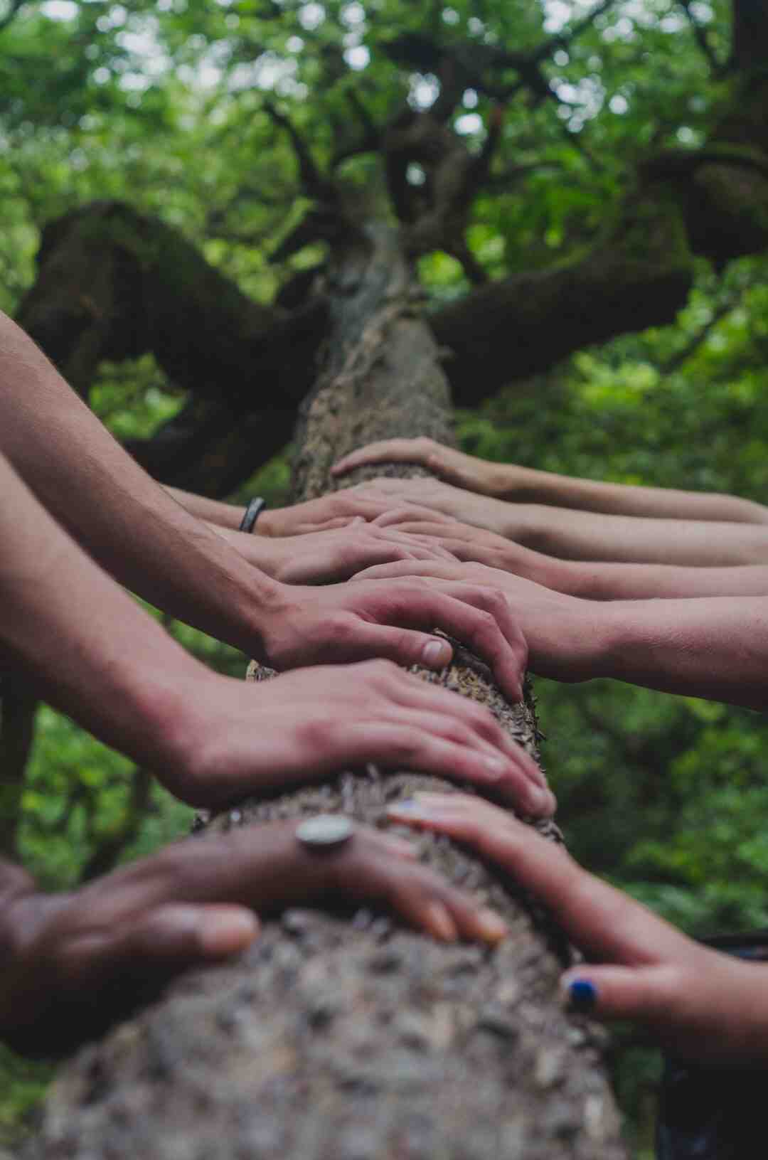 C'est quoi reconditionné grade A+ ?